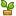 Leaf plant icon