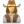 User-cowboy-female icon