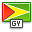 Flag guyana icon