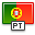 Flag portugal icon