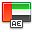 Flag united arab emirates icon