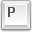 Key p icon