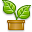 Leaf plant icon