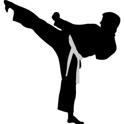 Karate highkick icon