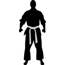 Karate ready icon