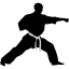 Karate punch icon