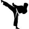 Karate-highkick icon