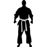 Karate-ready icon