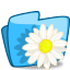 Folder Flower Camomile icon