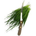 Fresh-cut-wheatgrass icon