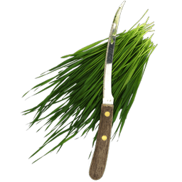 Fresh cut wheatgrass icon
