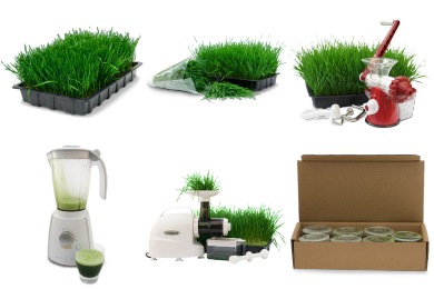 Wheatgrass Icons