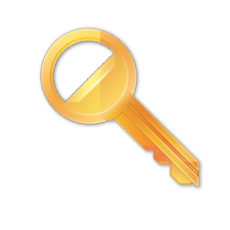 Key icon