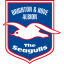 Brighton-Hove-Albion icon