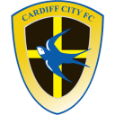 Cardiff City icon