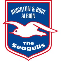 Brighton Hove Albion icon