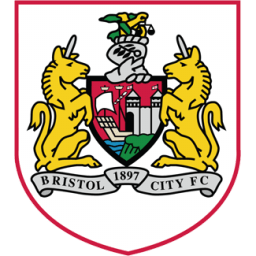 Bristol City icon
