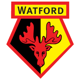 Watford FC icon