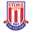 Stoke City icon