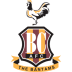 Bradford-City icon
