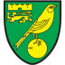 Norwich-City icon