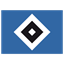 Hamburger SV icon