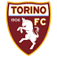 Torino icon