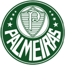 Palmeiras icon