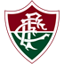 Fluminense icon