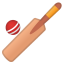 Cricket game icon