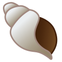 22298-spiral-shell icon