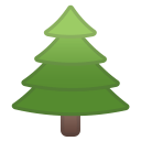 Evergreen tree icon
