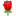 22322-rose icon