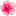 22324-hibiscus icon