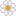 22326-blossom icon