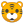 Tiger face icon