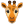 22245-giraffe icon