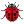 Lady beetle icon