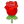 22322-rose icon