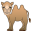 Two hump camel icon