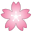 22318-cherry-blossom icon