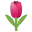 22327-tulip icon