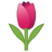 22327-tulip icon