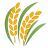 Sheaf of rice icon