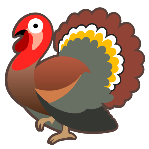22265-turkey icon