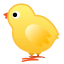 Baby chick icon