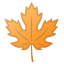 22338-maple-leaf icon