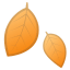 Fallen leaf icon