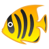22294-tropical-fish icon
