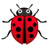 22308-lady-beetle icon